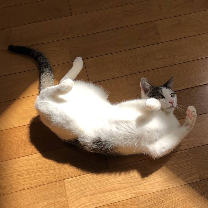 Dad016cd e228 4939 9f1a 54f8c275042d 1584085730695