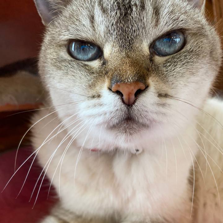 Dad038a2 3fb1 41c3 a0dd 8a30dfb9b9b5 1597118641825