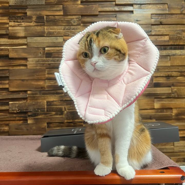 Dad09061 bb0c 4ace ba8d 7d3eacad73da 1644553831664