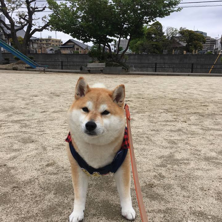 Dad0bf65 860a 4b0e 8ad4 4bf8ddb1370c 1556257172867