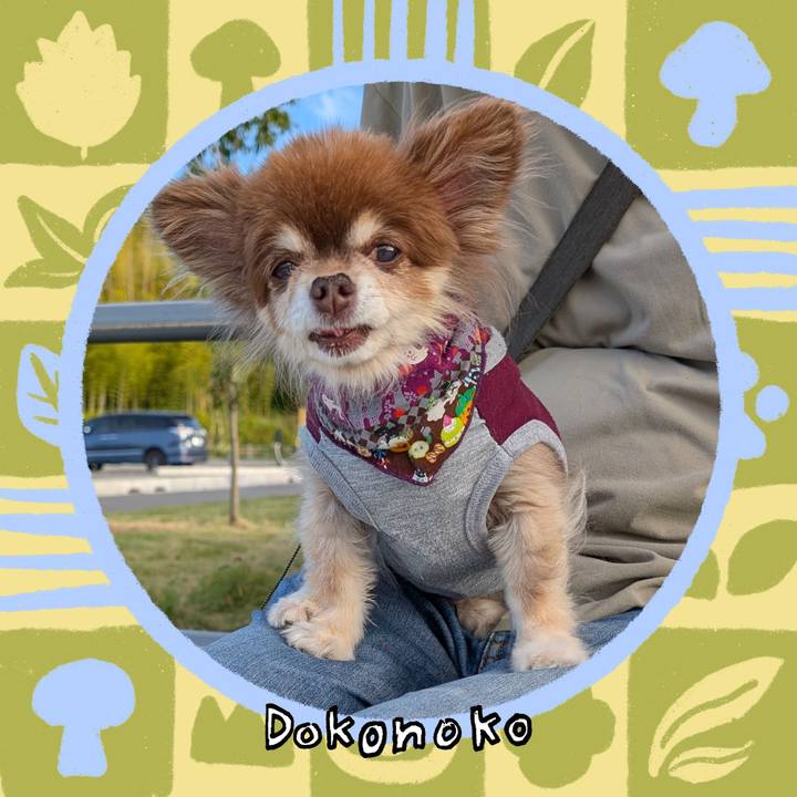 Dad0f31a 9960 47e9 ac0c f67f9d0e14ea 1761179022392