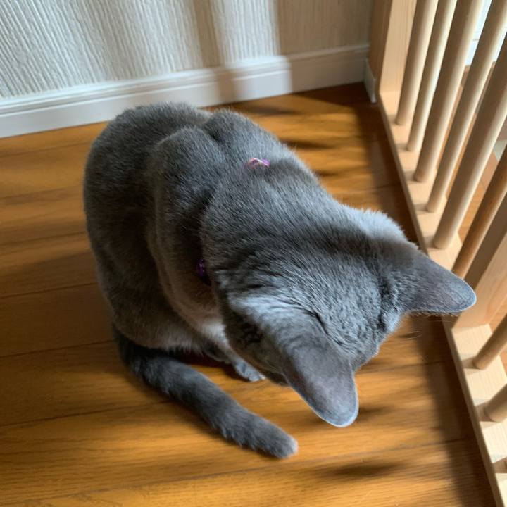 Dad0fad5 bcb1 4da5 bc43 77fd558632b9 1657583438561