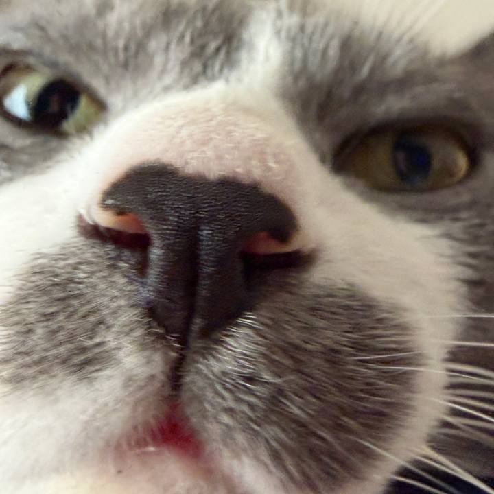 Dad115a9 f1d9 428b 8fb9 5855ca83368e 1763681848848