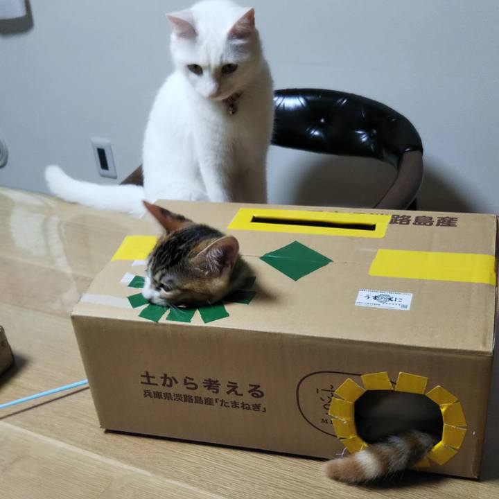 Dad11a0f d313 4657 b659 4c5a6d0cc7b7 1628370955552