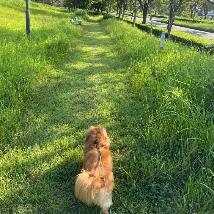 Dad1653c f0f8 48a8 b0f9 281f020472e3 1598744673834