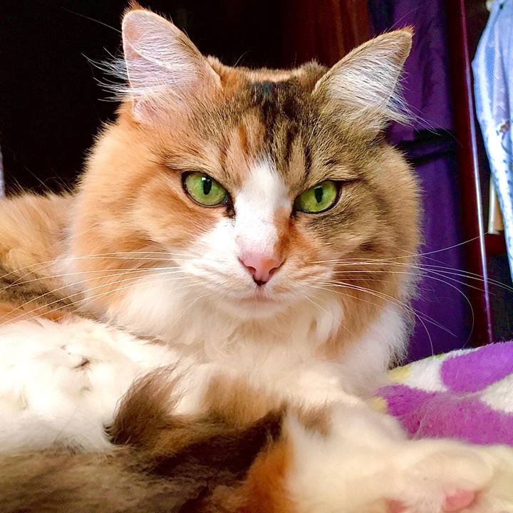 Dad1801f bfa4 4e39 a49b a8007c6fb455 1583739767324