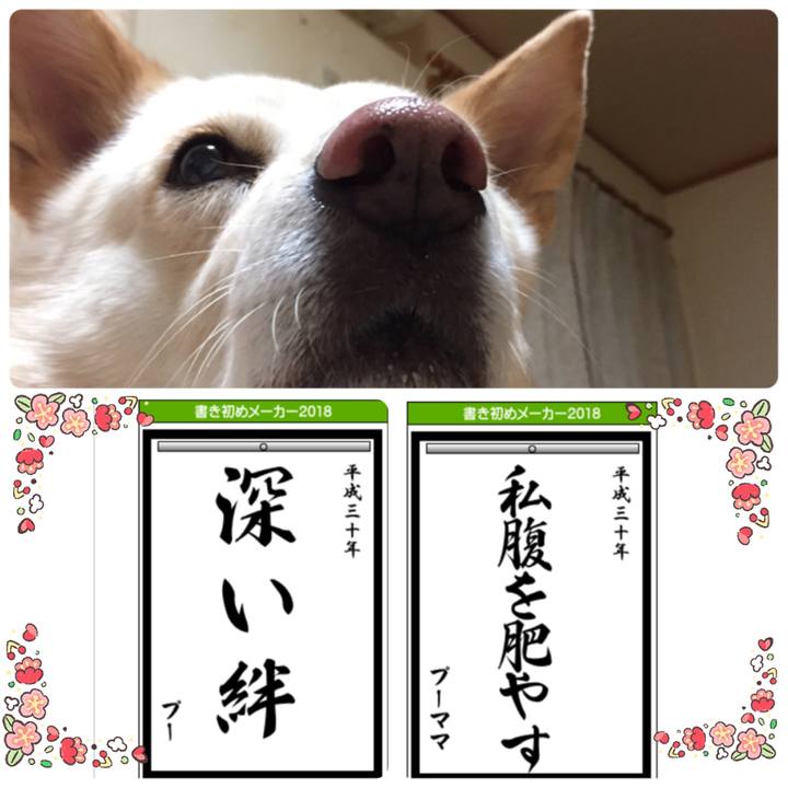 Dad18544 94c4 4b4c a4d9 164b28e1f340 1514983777478