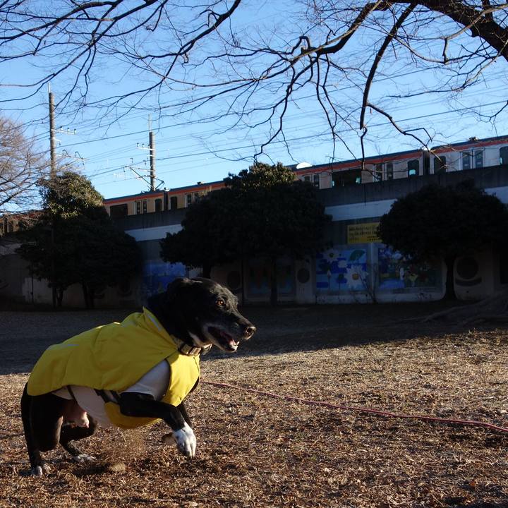 Dad1bba8 529c 4bc3 8398 cc60604b79fc 1738282953153