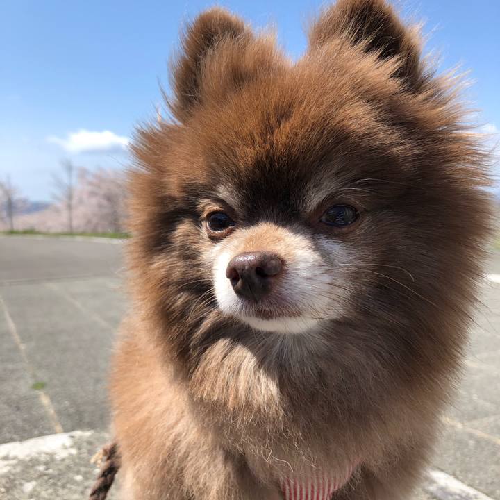 Dad20b65 edac 4529 ae34 c95e71ffea89 1619850808646