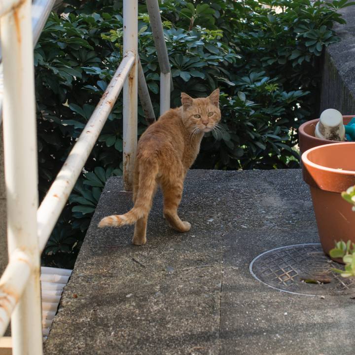 Dad22eee afe4 4a5a b3f5 0a180bd640ee 1554490910193