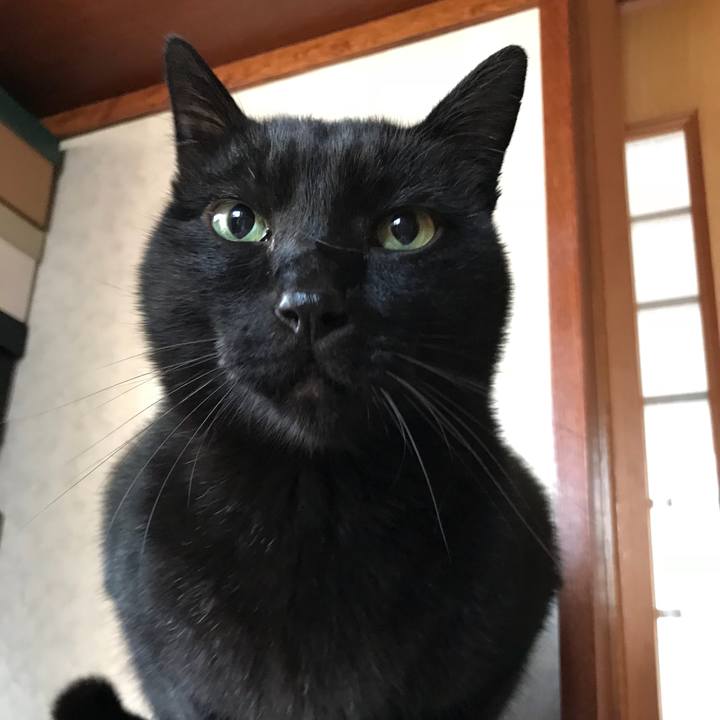 Dad257e1 cae8 4e2c a087 80b77a6ab1cd 1511400625926