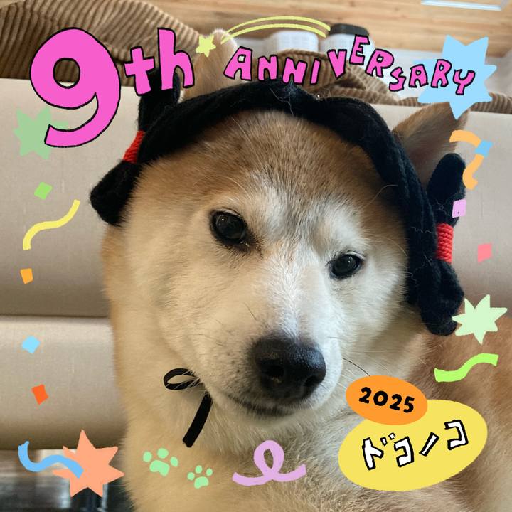 Dad25bed 4aee 40c0 a9d6 b18aa064b3eb 1749524932939
