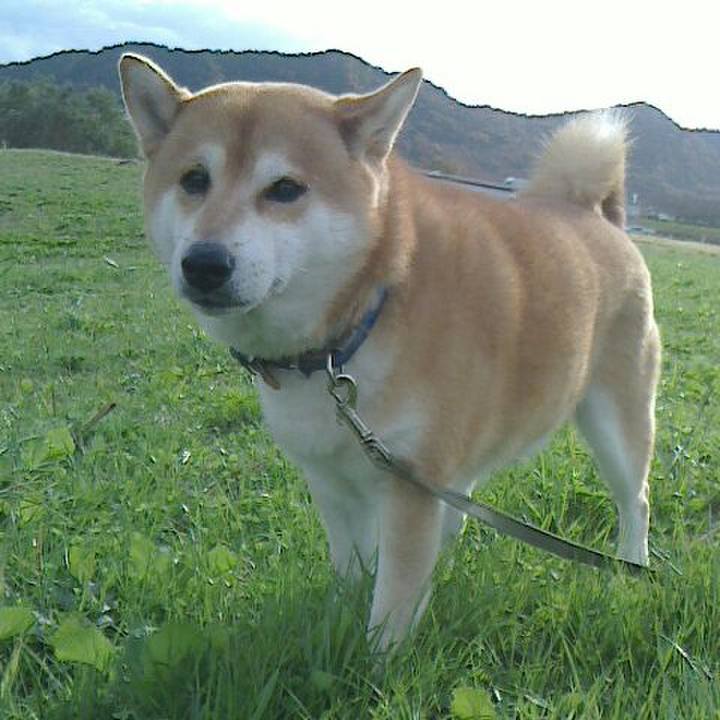 Dad26d73 6cfb 4e54 94ef 2824078d1b3e 1575193194315