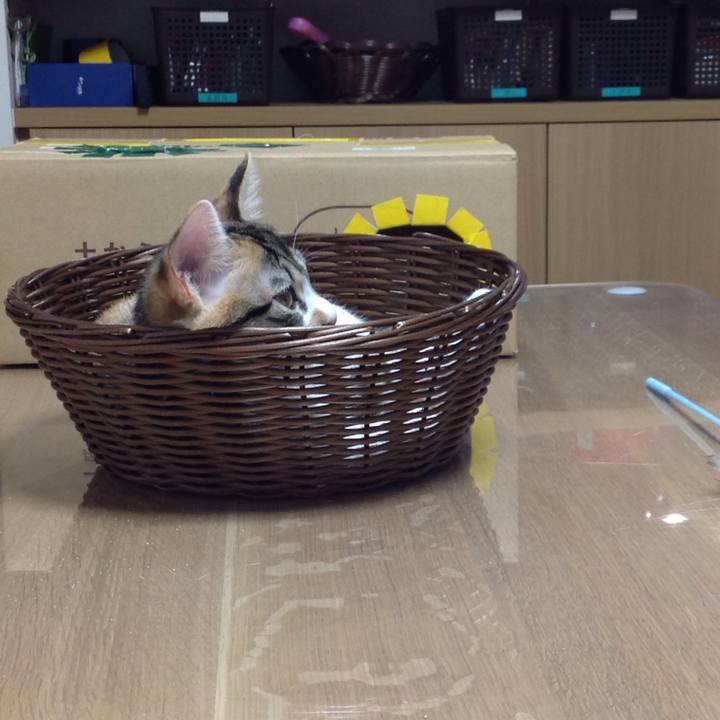 Dad2a26e 971a 4939 a8ca 2bffb322b727 1642123904731