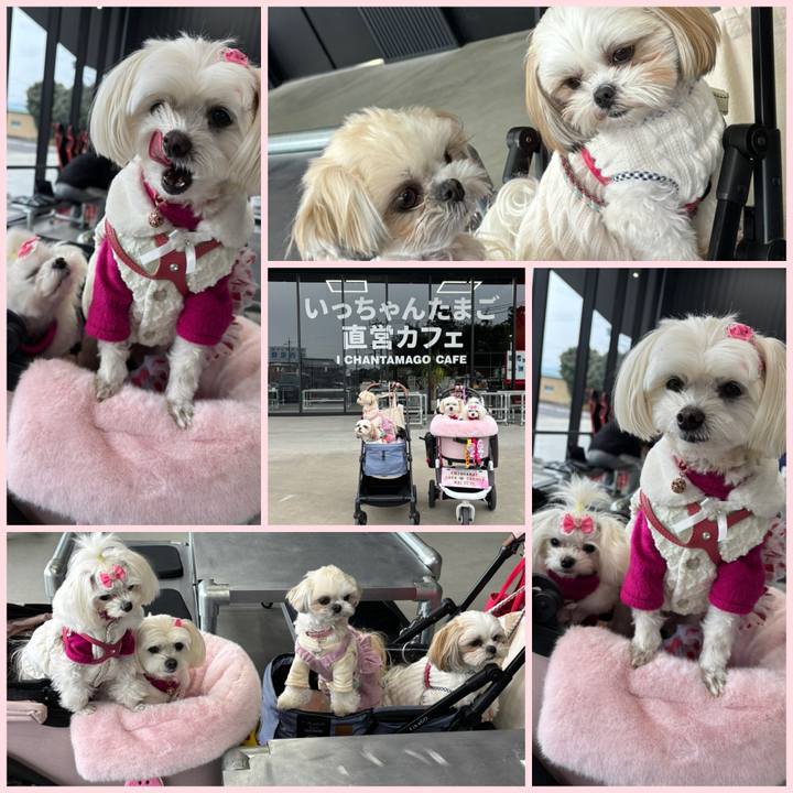 Dad2beb4 5849 485c 89c5 01b4c1703ad7 1738406918658