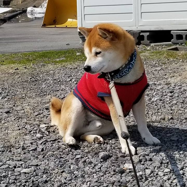 Dad2e2f0 a2ee 4a54 839b 1e1f813e6e12 1520910329790