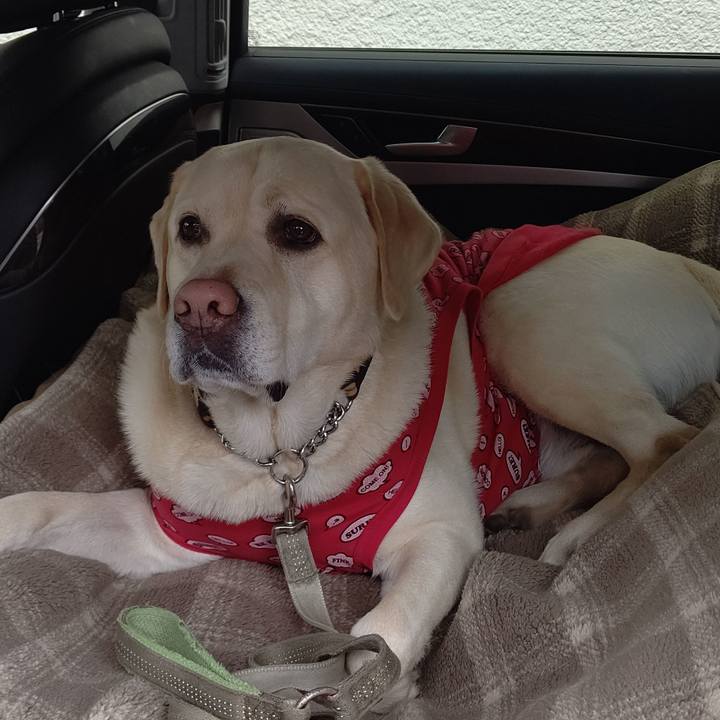 Dad3113c aca2 4a40 a18c b82241de4edb 1643941244011