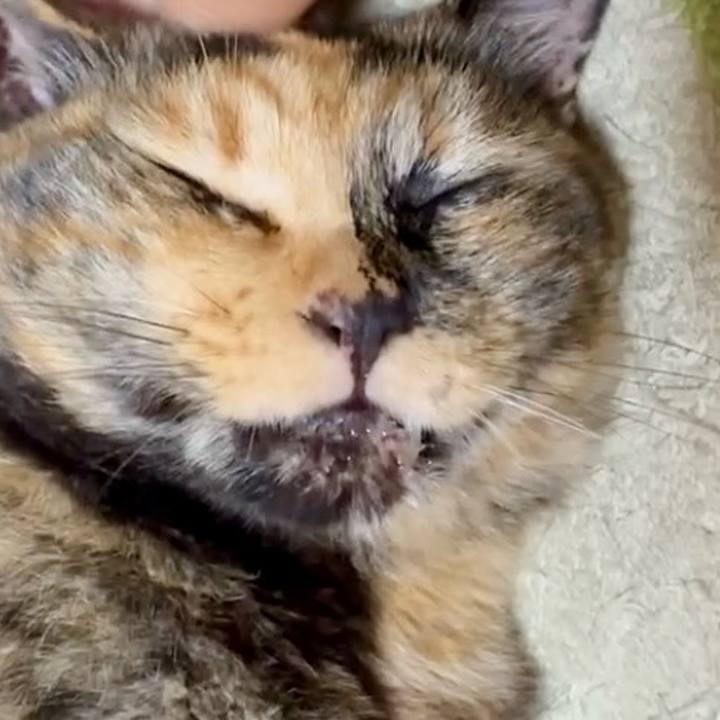 Dad354e4 da6b 49f1 8640 8e3a4ab43c25 1750412054584