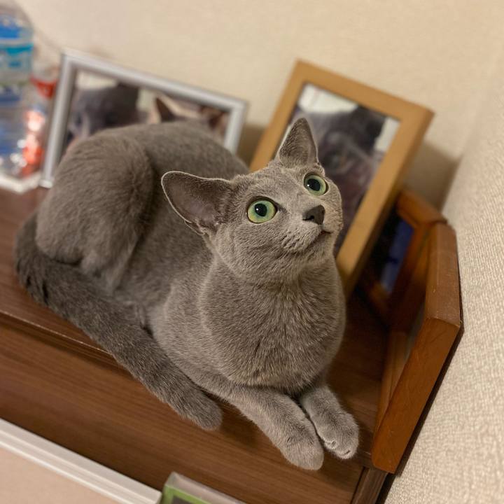 Dad35a4f b4cf 43b4 94b3 3b643860de8f 1693367609766