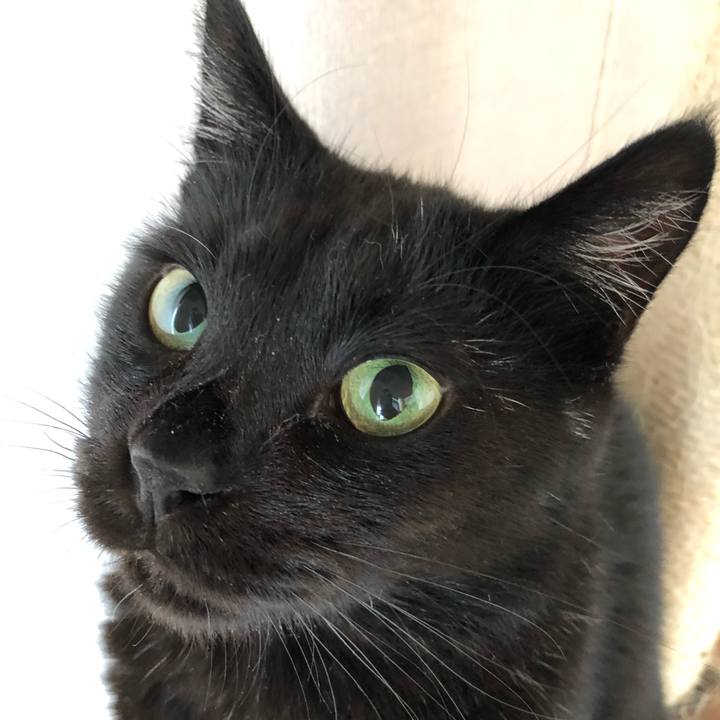 Dad38ce8 28f6 43d3 bc83 ea8a5bb4fc2b 1564189743692