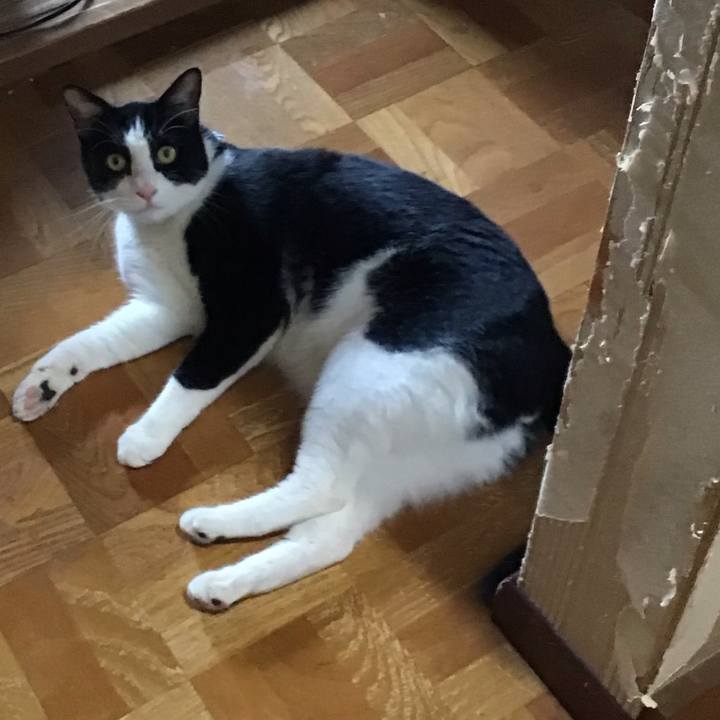 Dad3bd3a 9993 4cfe ba07 58e5098228c3 1723630008812