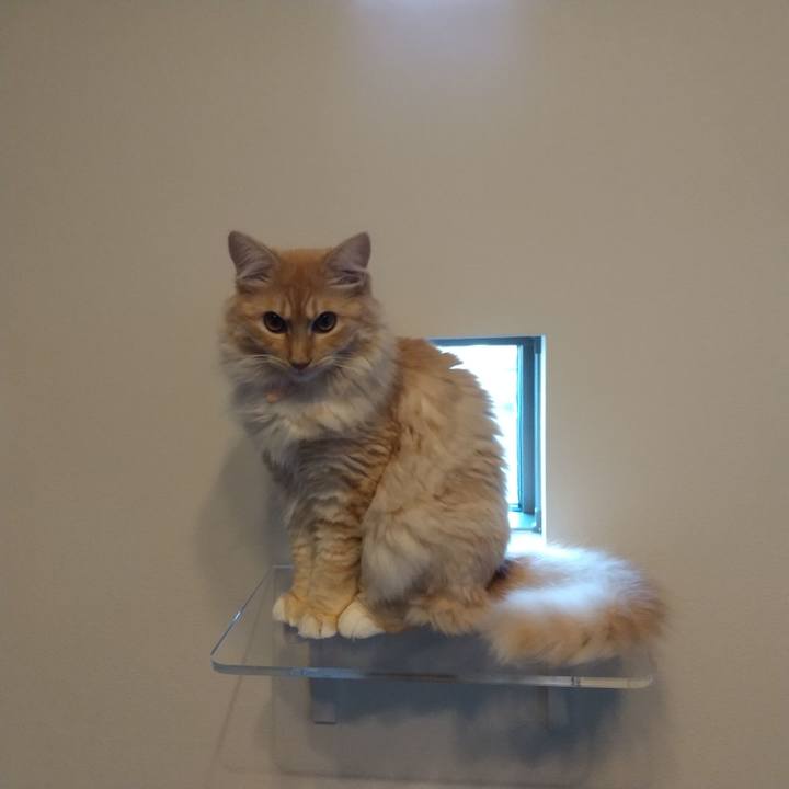 Dad3e648 66b9 447b 8b44 12283371c78e 1628502557258