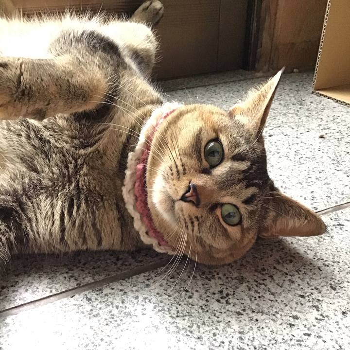 Dad3fa62 381b 48fa bc36 06fec204aeb0 1617518294563