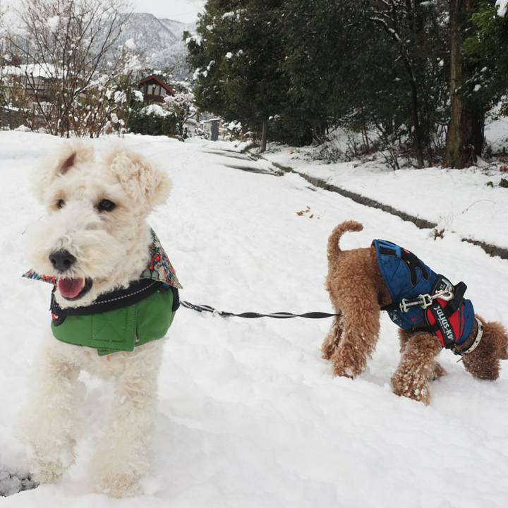 Dad3fbc6 250b 4fac aa57 2321e1e4bcdf 1515912115479