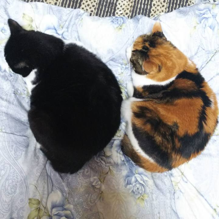 Dad416ae ef4a 4718 8743 fbdc05504cea 1545169701731