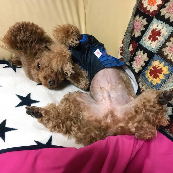 Dad422e1 0ae7 4048 a93a 8e5223399b09 1510318477378