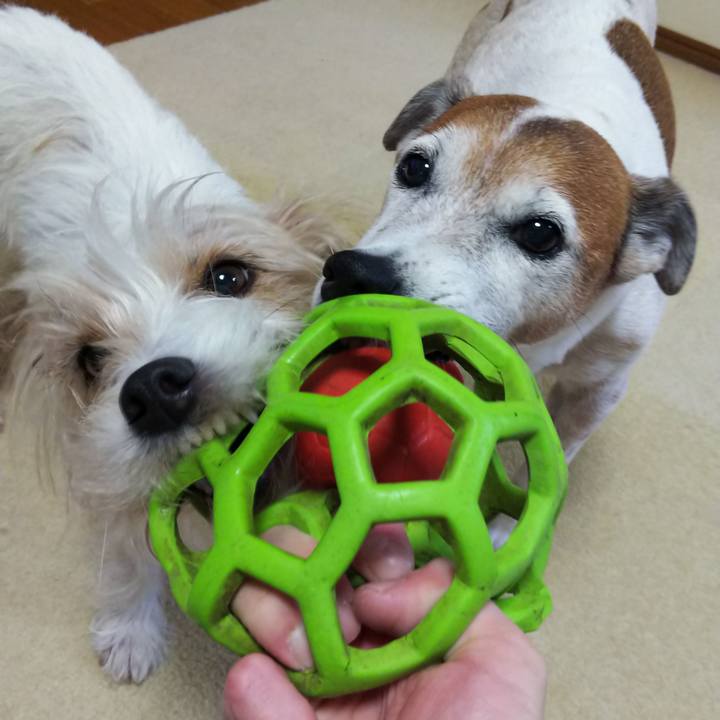 Dad429db b831 4ae9 acdb 3e842cd0a452 1523785982749