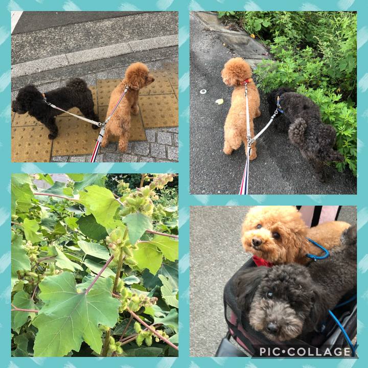 Dad456f5 cf08 4e07 898e 43033e48ae86 1601703012310