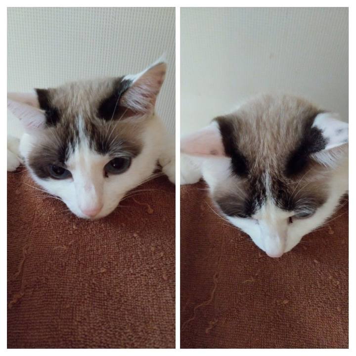 Dad48103 6467 4ed2 bf55 cafa115d3b00 1606950737596