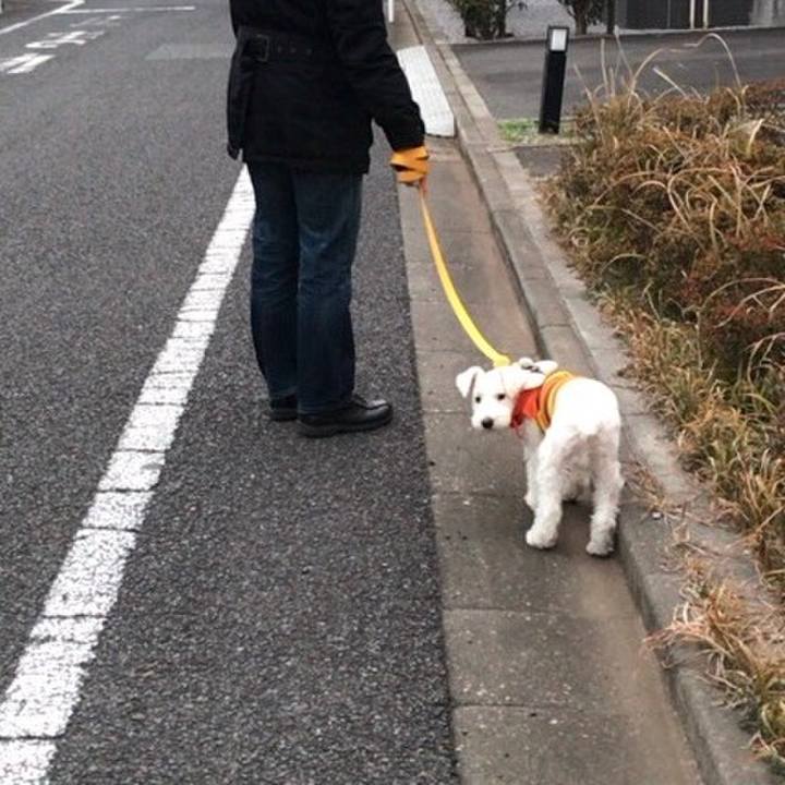 Dad489b7 6fd4 4dc6 9d3c ee1d4f96d70c 1514706957606