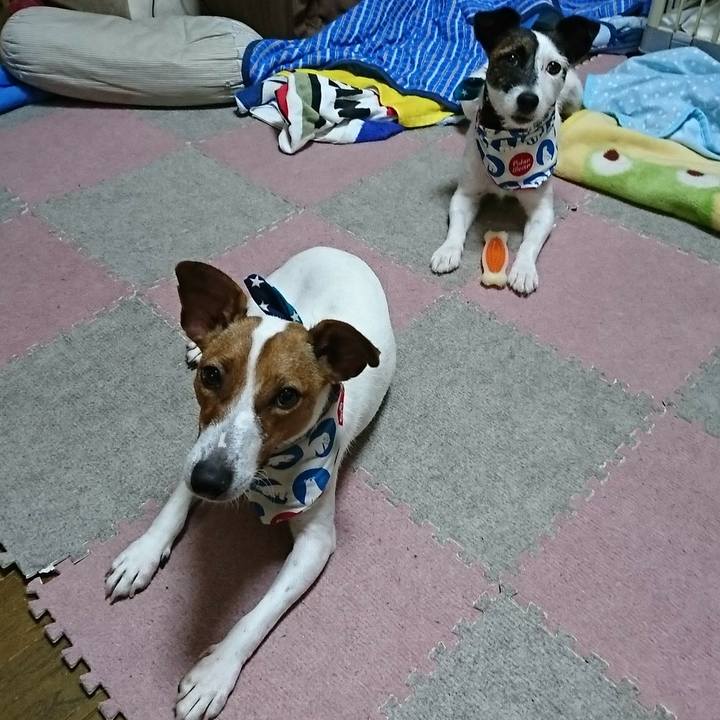 Dad4b327 672b 4411 b14c 5994b9705f84 1532002995640