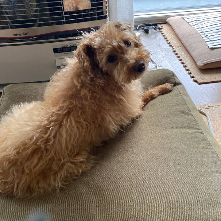 Dad4be61 2f91 4b94 abad ff02b61fe3c1 1689633350482