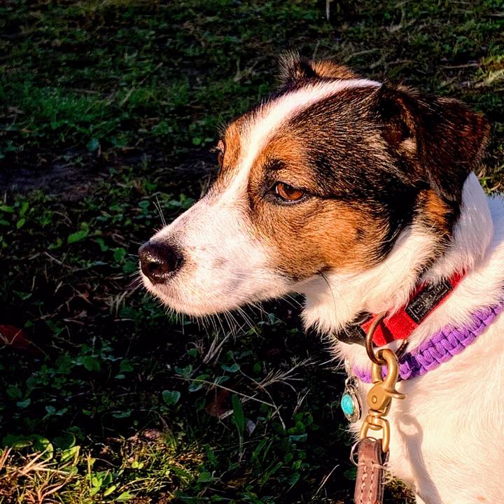 Dad4cc3d 3066 4afb a0c6 947330690819 1576664042205