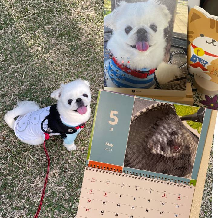 Dad4ed89 10a0 4e1a 8416 ff86fe2fc905 1714513427055