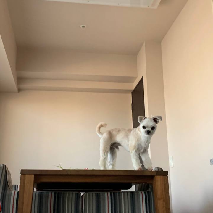 Dad4f623 99c3 49a1 8e9f aa7c8393f7ad 1571046811182