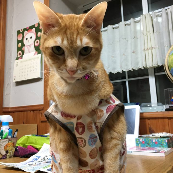 Dad4f9ef 6922 4848 9751 5de2662963f0 1519746974373