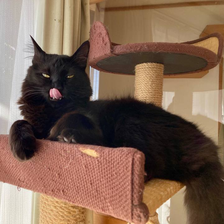 Dad501d6 b093 436f 89dc abeb720bb9f9 1738903849483