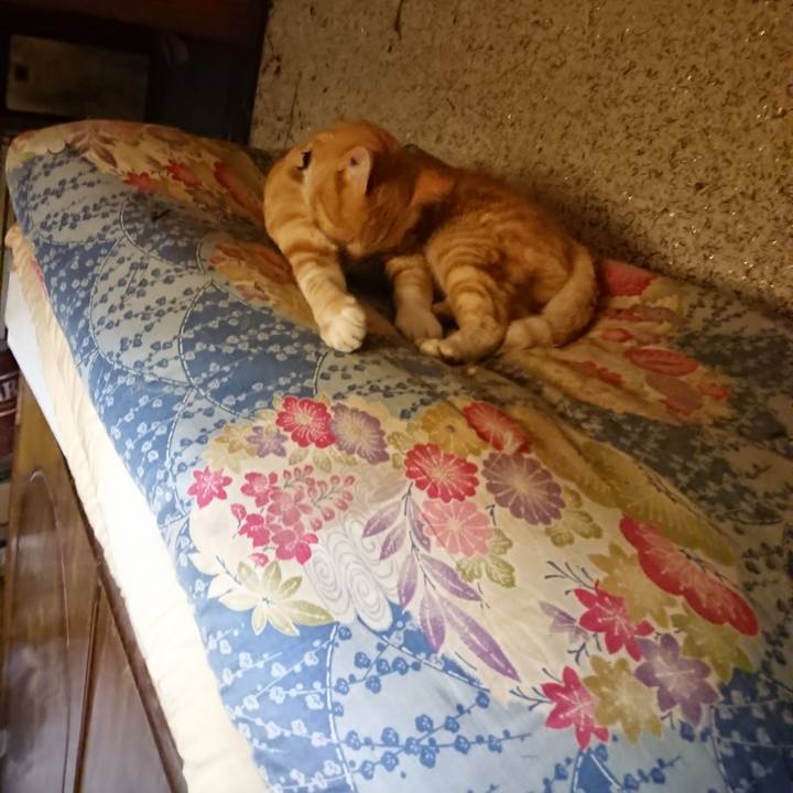 Dad53bbe e911 47c7 8c97 1b509f08b55a 1594558784443