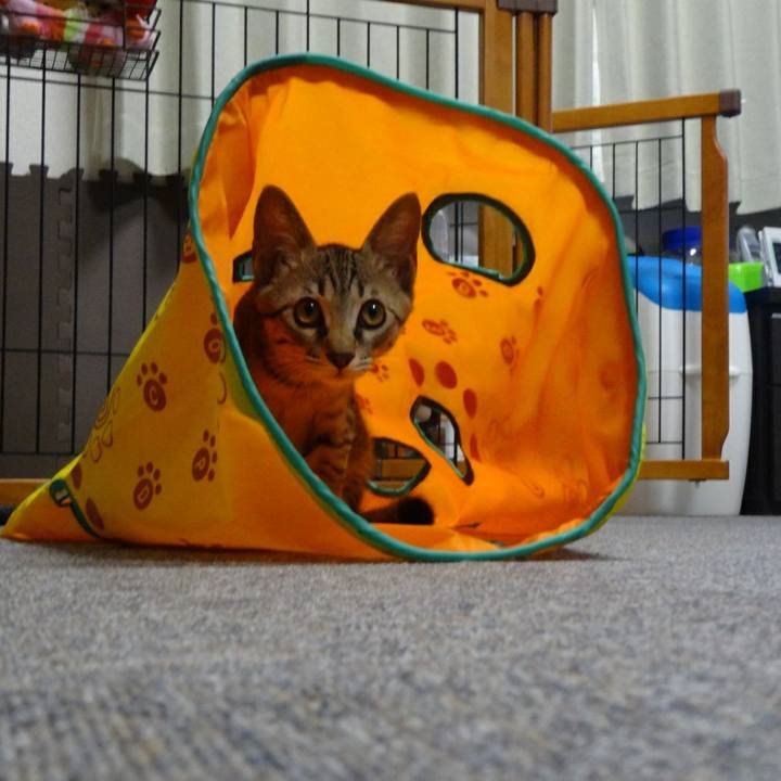 Dad540f7 40cf 4937 af8f b736a2fa4819 1558048857199