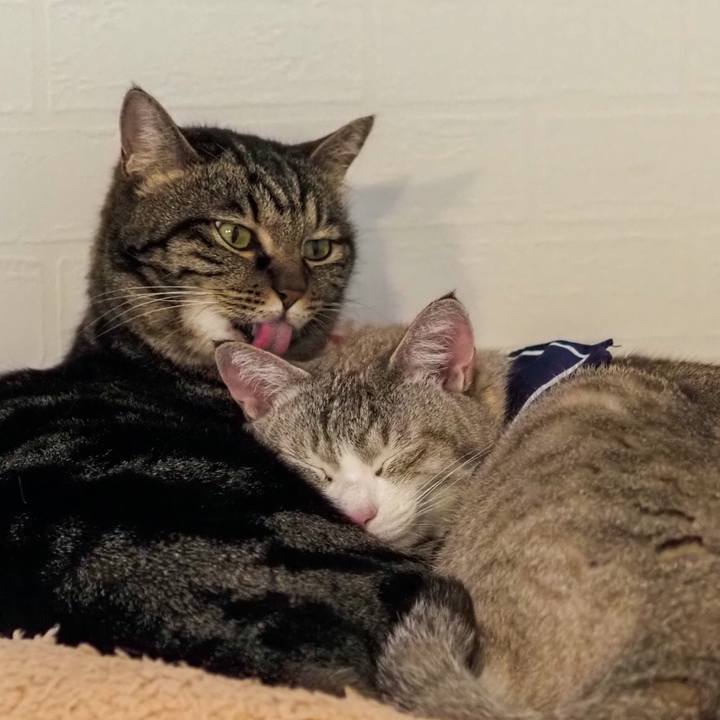 Dad548f2 b241 42dd 9382 5d1d21af3127 1615093931592