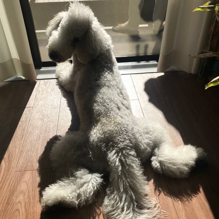 Dad54bf4 7294 4944 ab18 dab06c529ee6 1636780258067