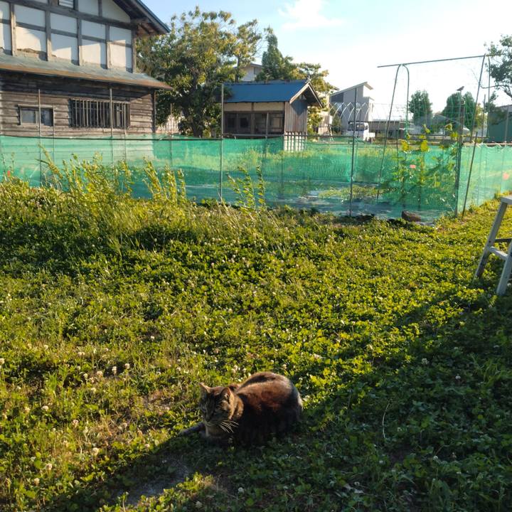 Dad5642b d578 46f7 a53b 492a15ebcebc 1718792955416