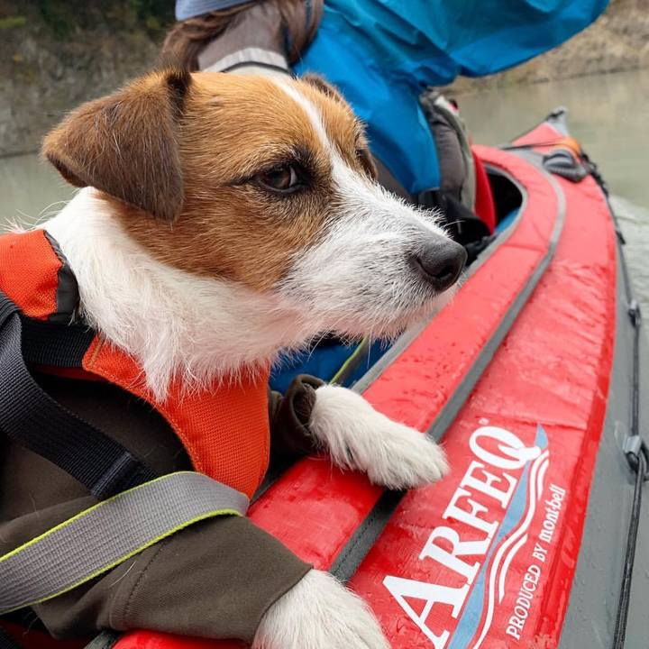 Dad56c27 df05 444f 9349 d25720ce2c74 1541478177543