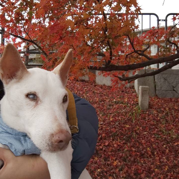 Dad585e1 90b4 44cd a8ee 29d55c6a7a6b 1543974759373