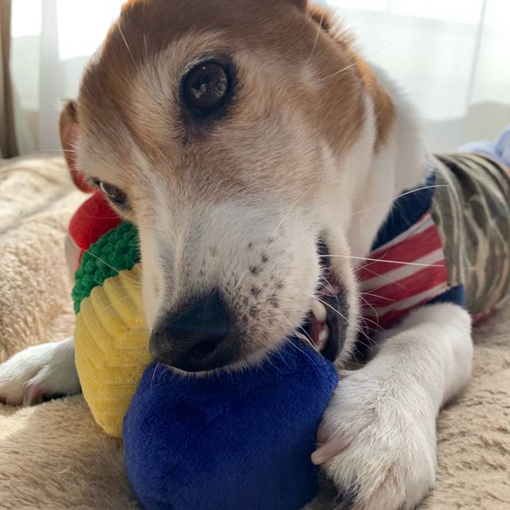 Dad597ee 8df4 4d85 9f36 2d37c2af7e28 1551671171476