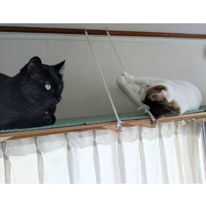 Dad5b764 49c1 43ca b2ad dd9eeb8dc234 1741496228192